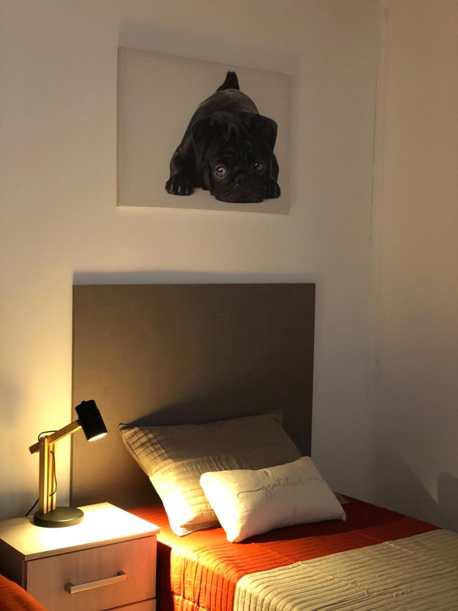 Mz Intimo Dpto 2 Apartment อูซัวยา ภายนอก รูปภาพ